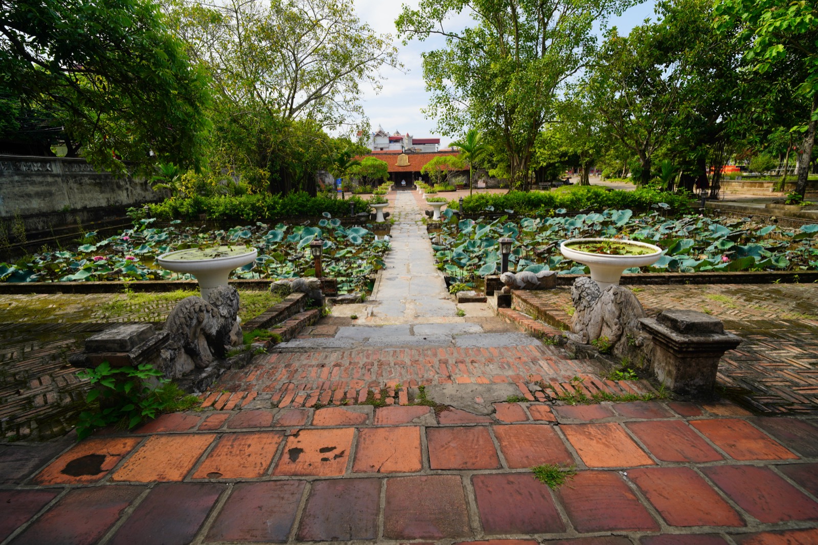Ao sen và con đường “Nhất Chính Đạo” lát đá xanh dẫn vào chùa.