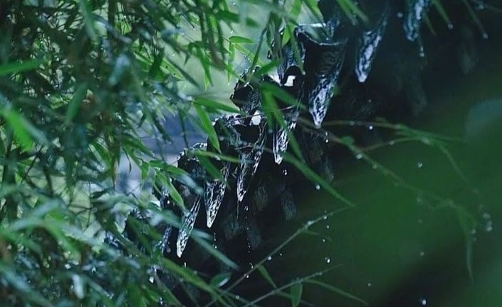 Mưa vẫn cứ rơi