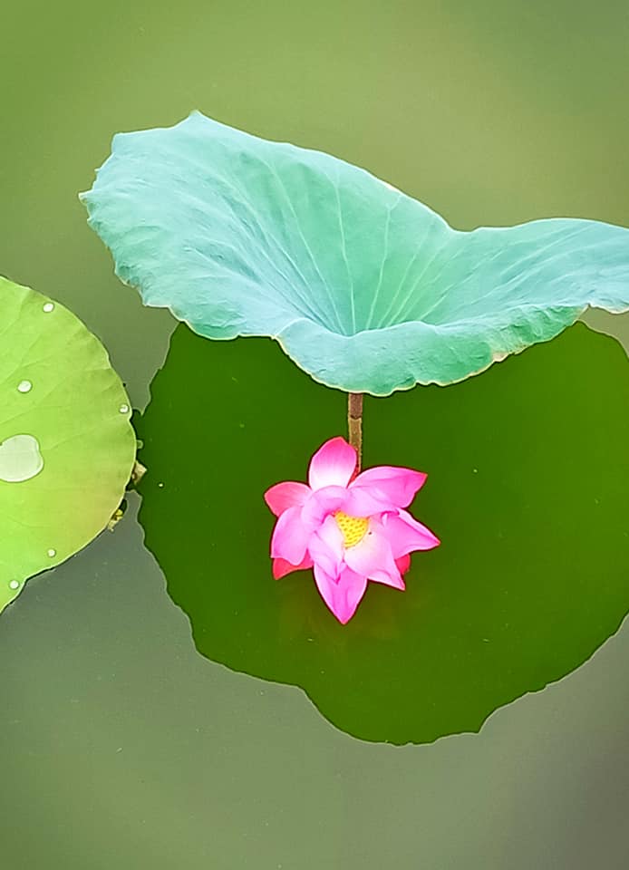 Năm điều nhắc mình giữa phiền não