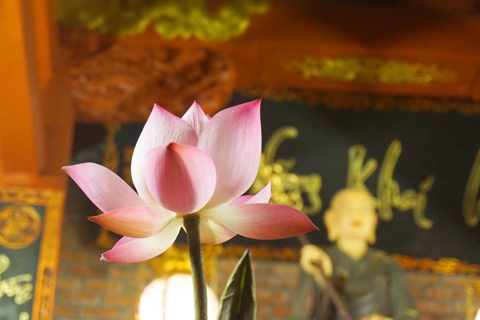 Không làm điều ác là ngăn dòng nước đục tiếp tục chảy vào tâm 1