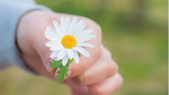 Làm sao vượt thắng được lòng đố kỵ trong ta?