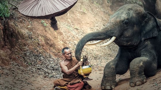 Người tu hành không ngần ngại đối mặt với cảnh khổ