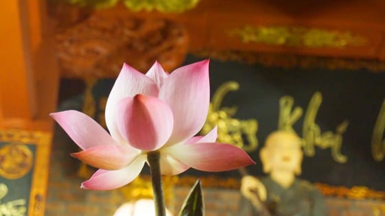 Sống hạnh phúc theo lời Phật dạy