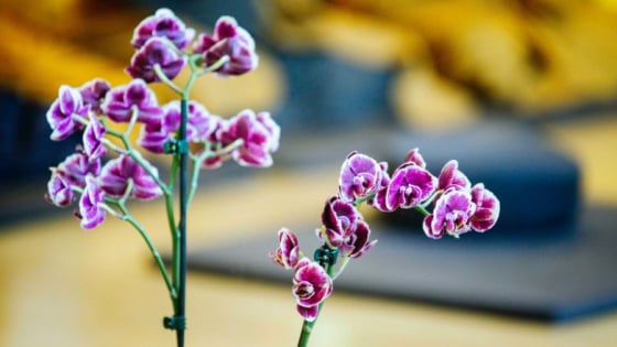 Hãy biết chuẩn bị trước những đổi thay của cuộc đời