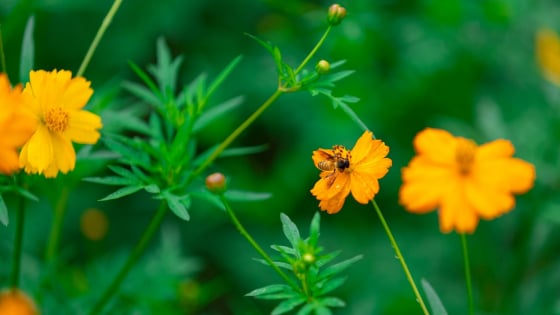 Thắng một lần ở bên ngoài, là thua một lần ở bên trong