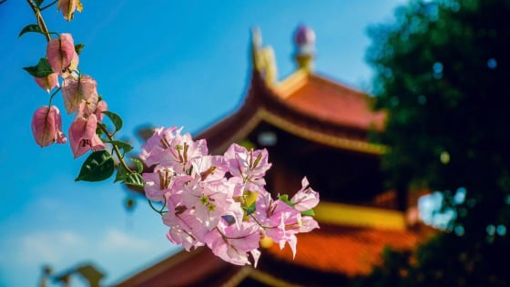 Chỉ có pháp đang sinh theo duyên, được nhận ra rồi biến đổi theo duyên