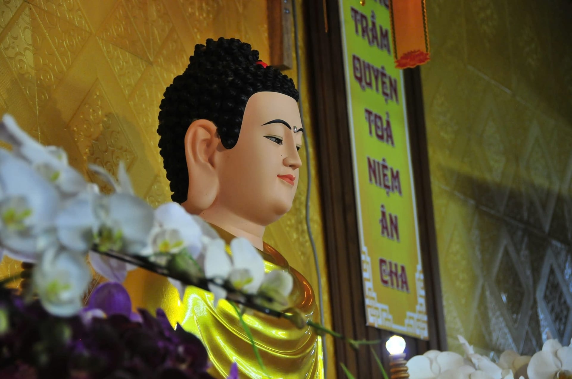 Trong tình thương của Đức Phật, không có gì là khó khăn, không có gì là không thể